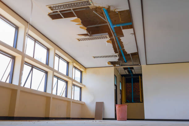 Best Local water damage restoration  in Swepsonville, NC