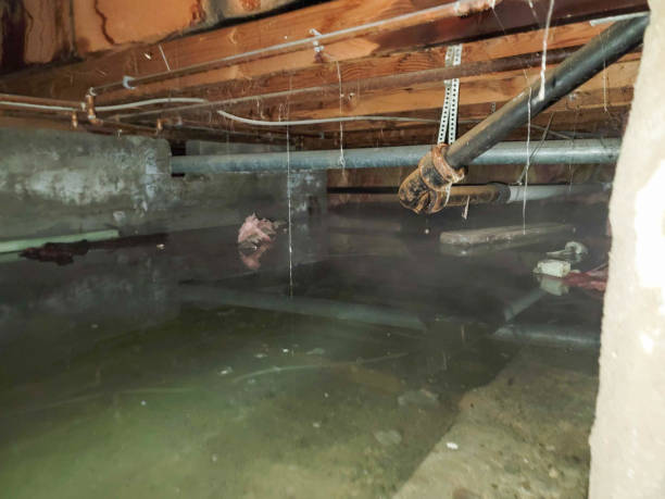 Reliable NC Water damage restoration Solutions