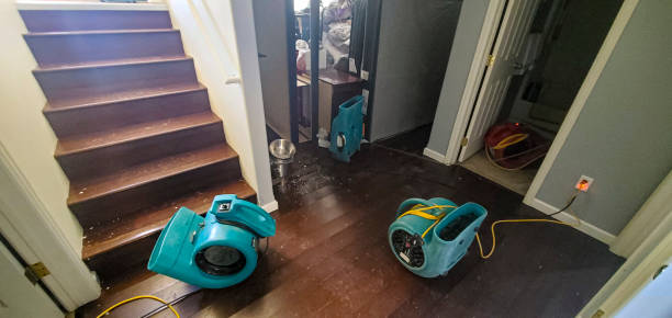 Best Flood restoration services  in Swepsonville, NC