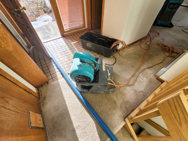 Best Professional water damage repair  in Swepsonville, NC