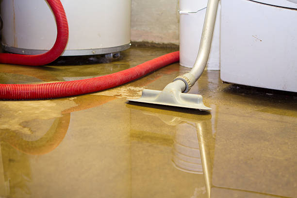 Best Ceiling water damage repair  in Swepsonville, NC