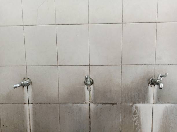  Swepsonville, NC Water damage restoration Pros