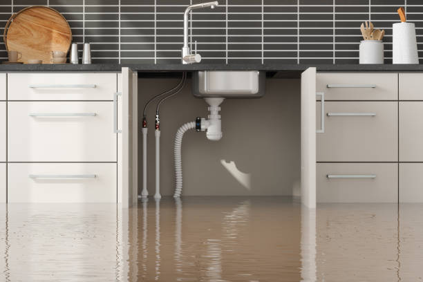 Best 24/7 water damage repair  in Swepsonville, NC