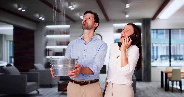 Best Fire Damage Restoration  in Swepsonville, NC
